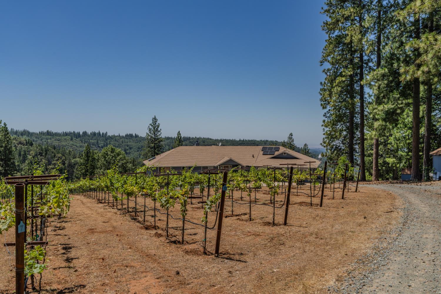 18591 Ponderosa Hills Road