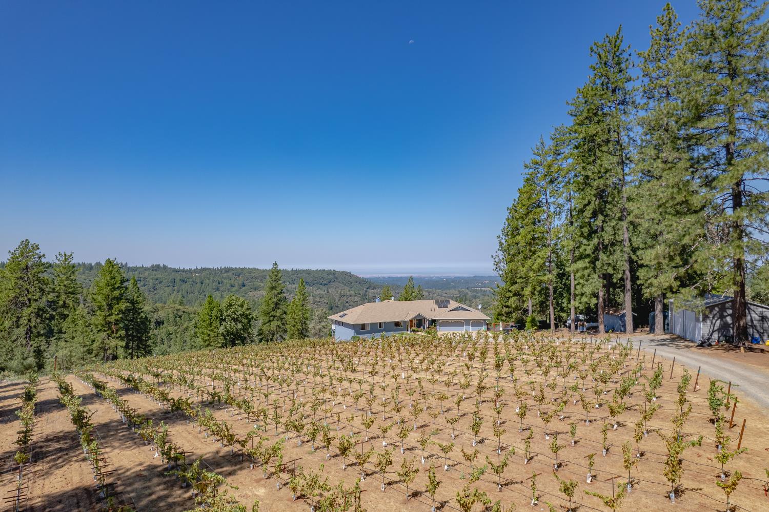 18591 Ponderosa Hills Road