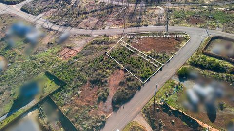 5206 Evergreen Drive Grizzly Flats CA 95636