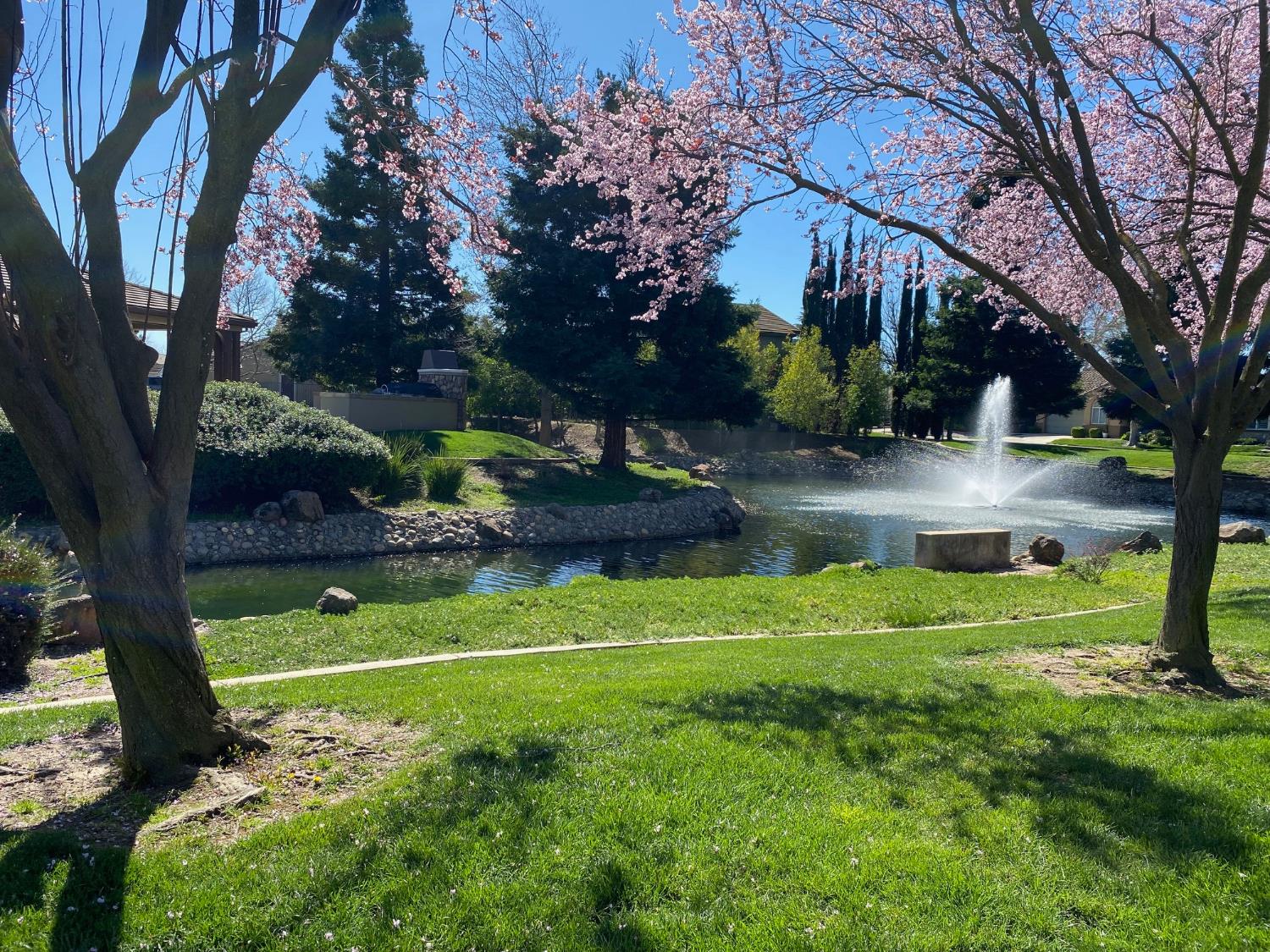 Sacramento, California 95823, United States, 2 Bedrooms Bedrooms, ,2 BathroomsBathrooms,Residential,Active,228702