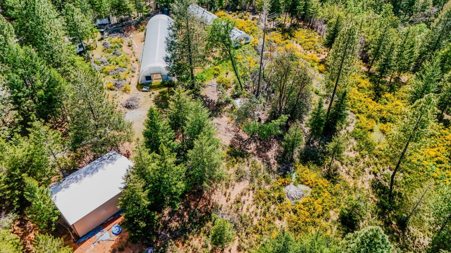 5734 Wilder Road