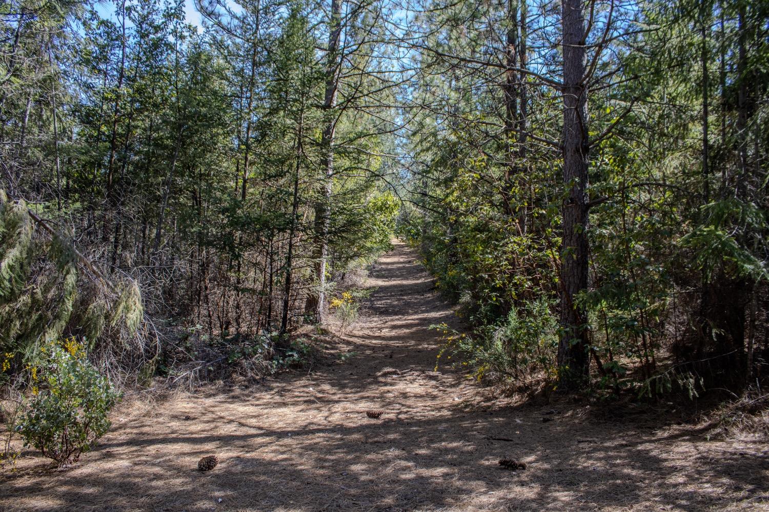 5734 Wilder Road