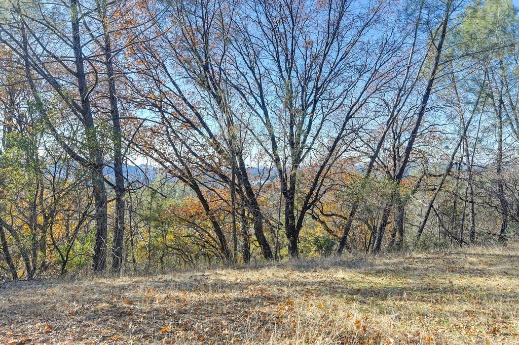 23050 Retherford Road