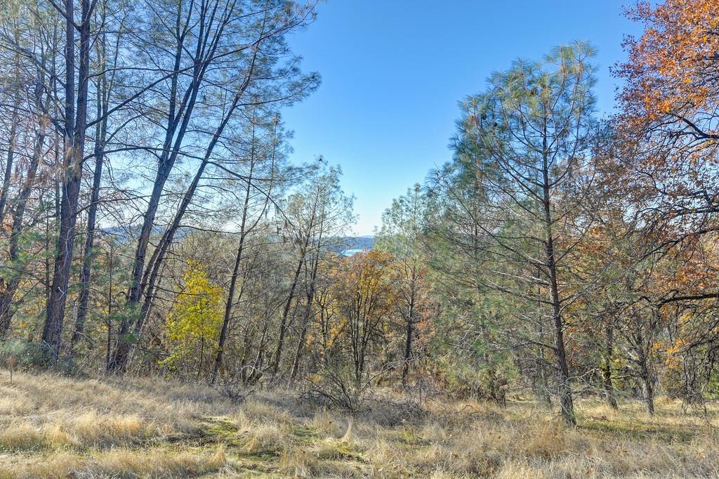 23050 Retherford Road