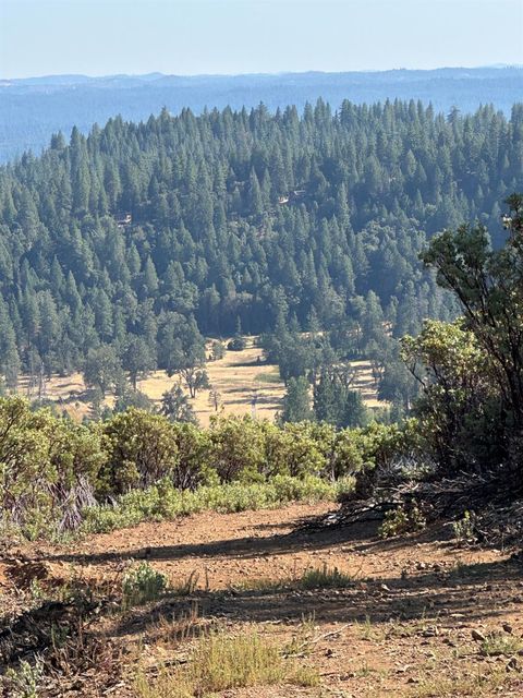 0 Mt Crossman Buckhorn CA 95666