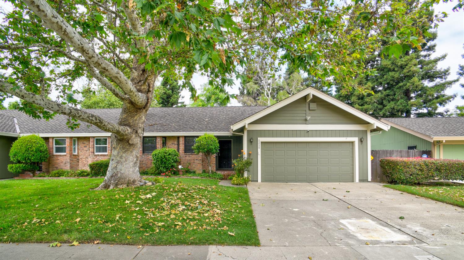 1215 Spruce Tree Circle