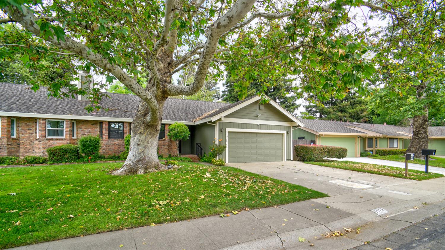 1215 Spruce Tree Circle