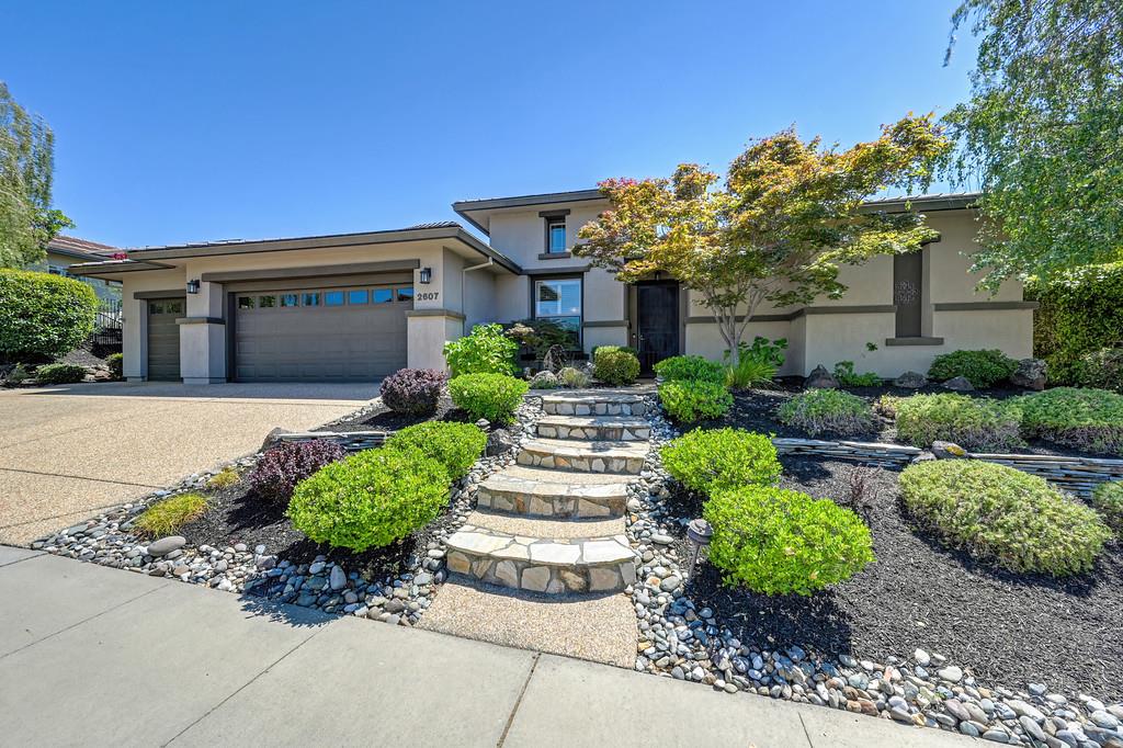 2607 Blue Heron