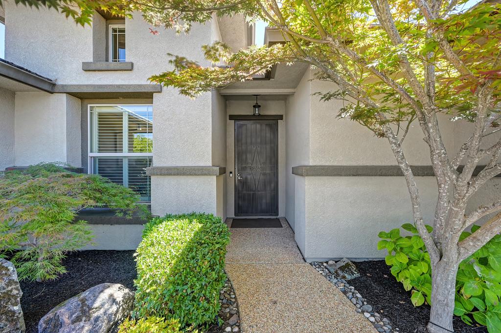 2607 Blue Heron