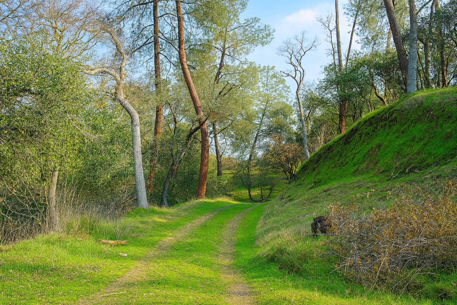 6550 Jackson Valley Road