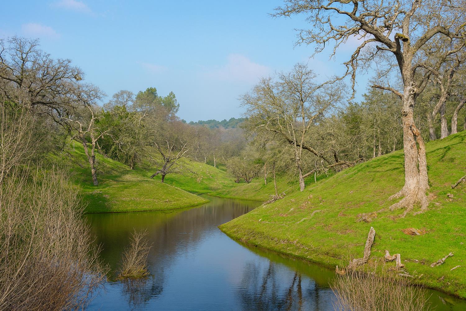 6550 Jackson Valley Road