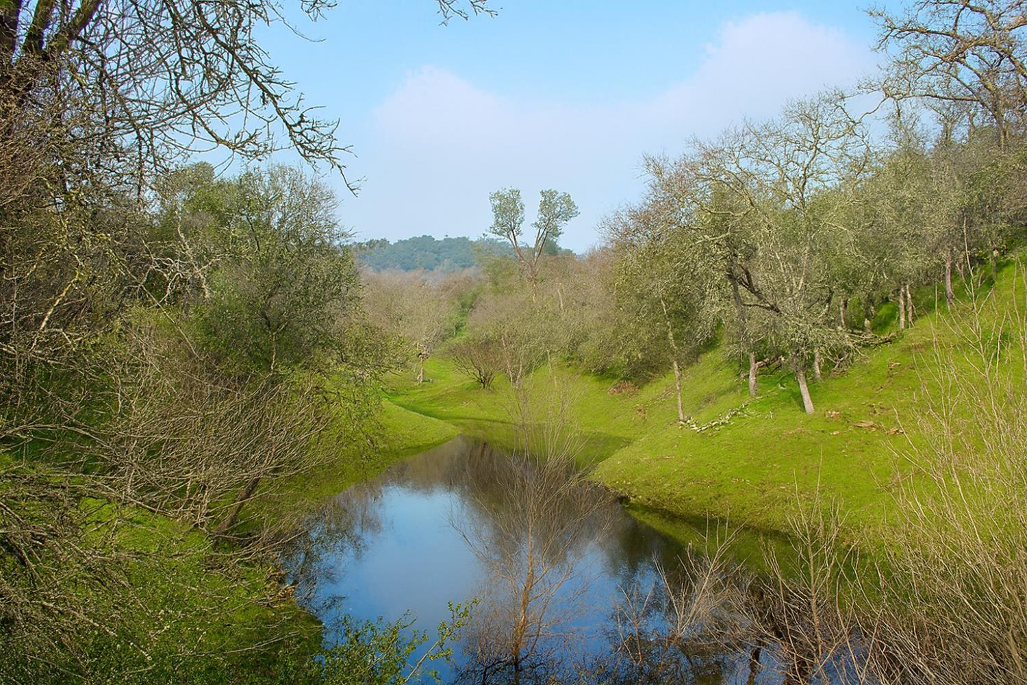 6550 Jackson Valley Road