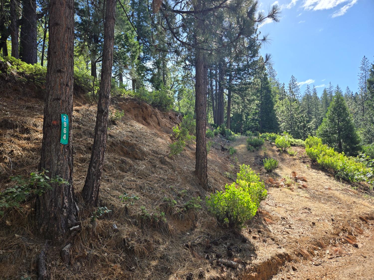 2964 Murphys Drive