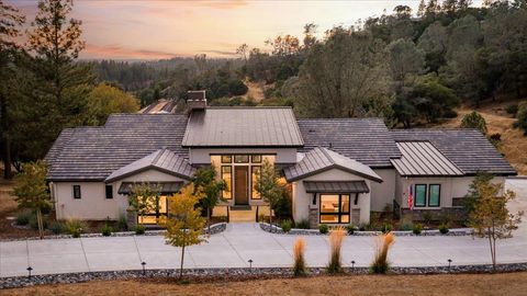 1000 Red Tail Court Meadow Vista CA 95722