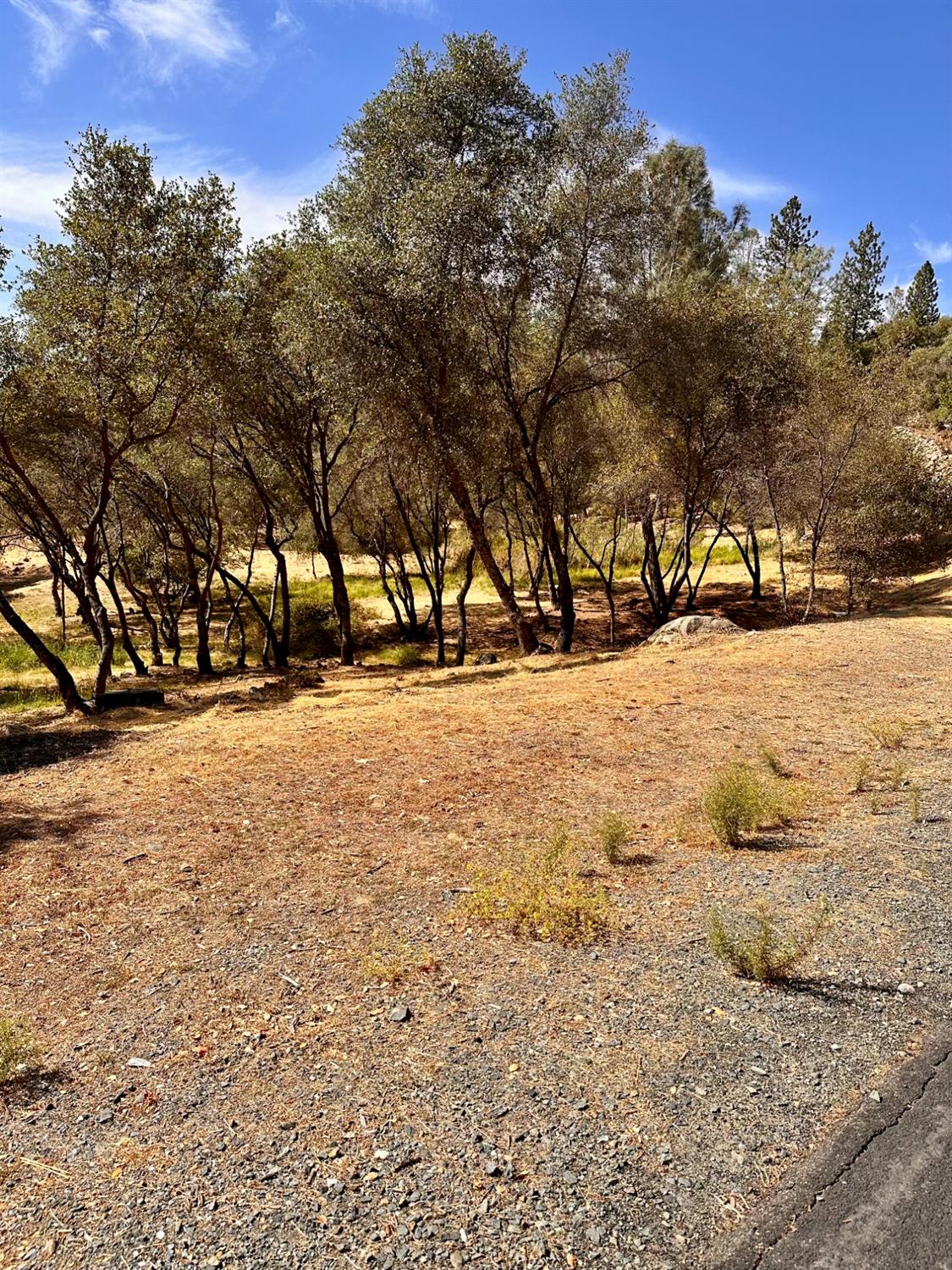 2050 Long View Drive