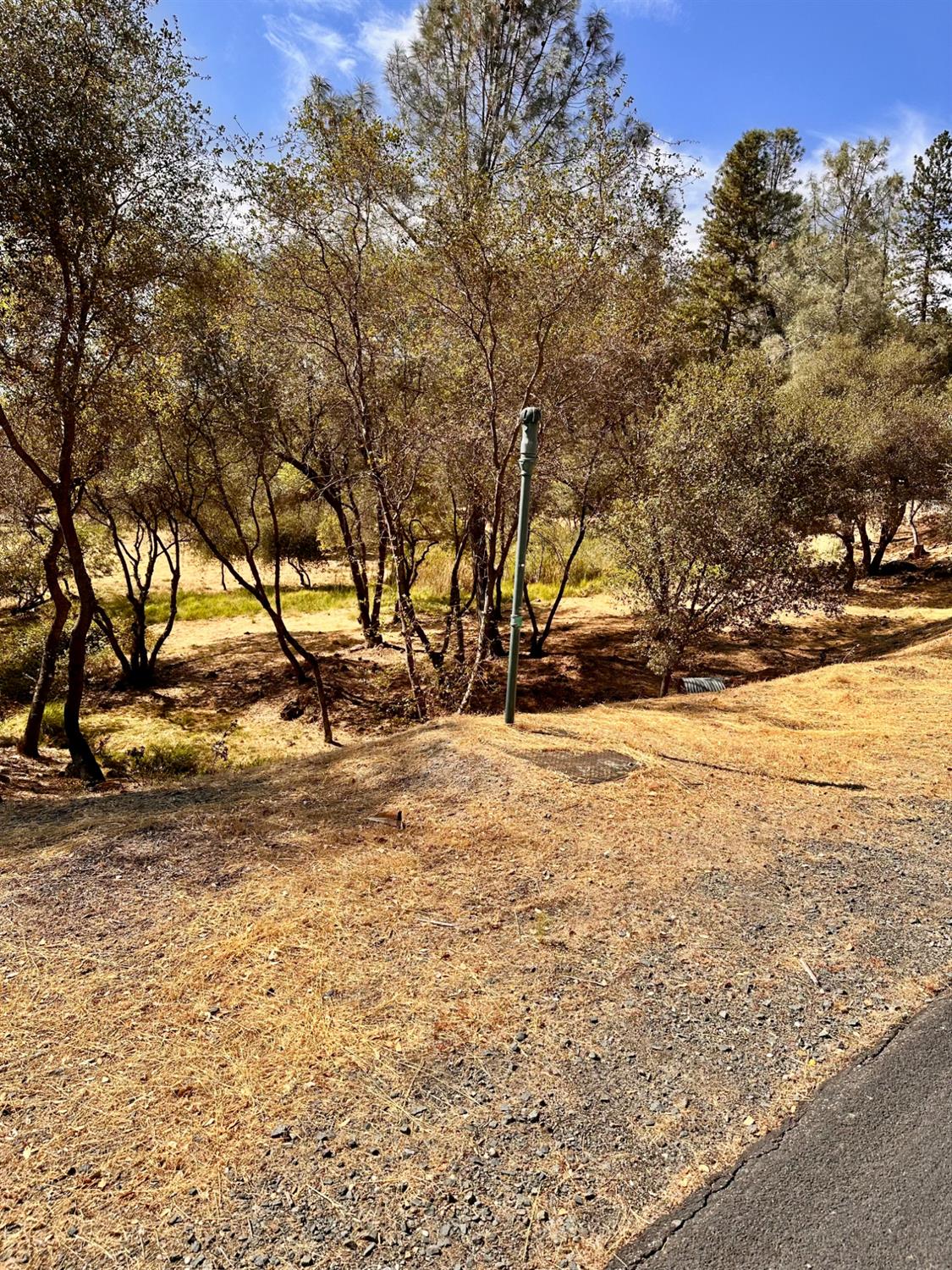 2050 Long View Drive