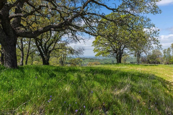 10859 SUNSET DRIVE, SUTTER CREEK, CA 95685 - Image e3fbeb31c7c76492e4aa5bbca24bfbef/2160908716