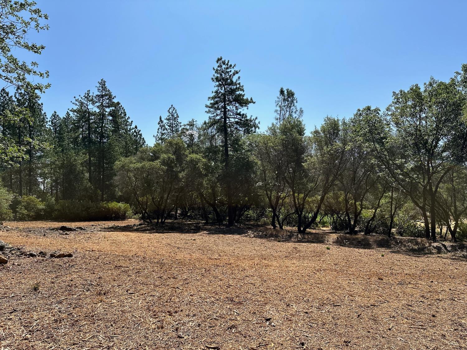 1845 E Summit View Drive