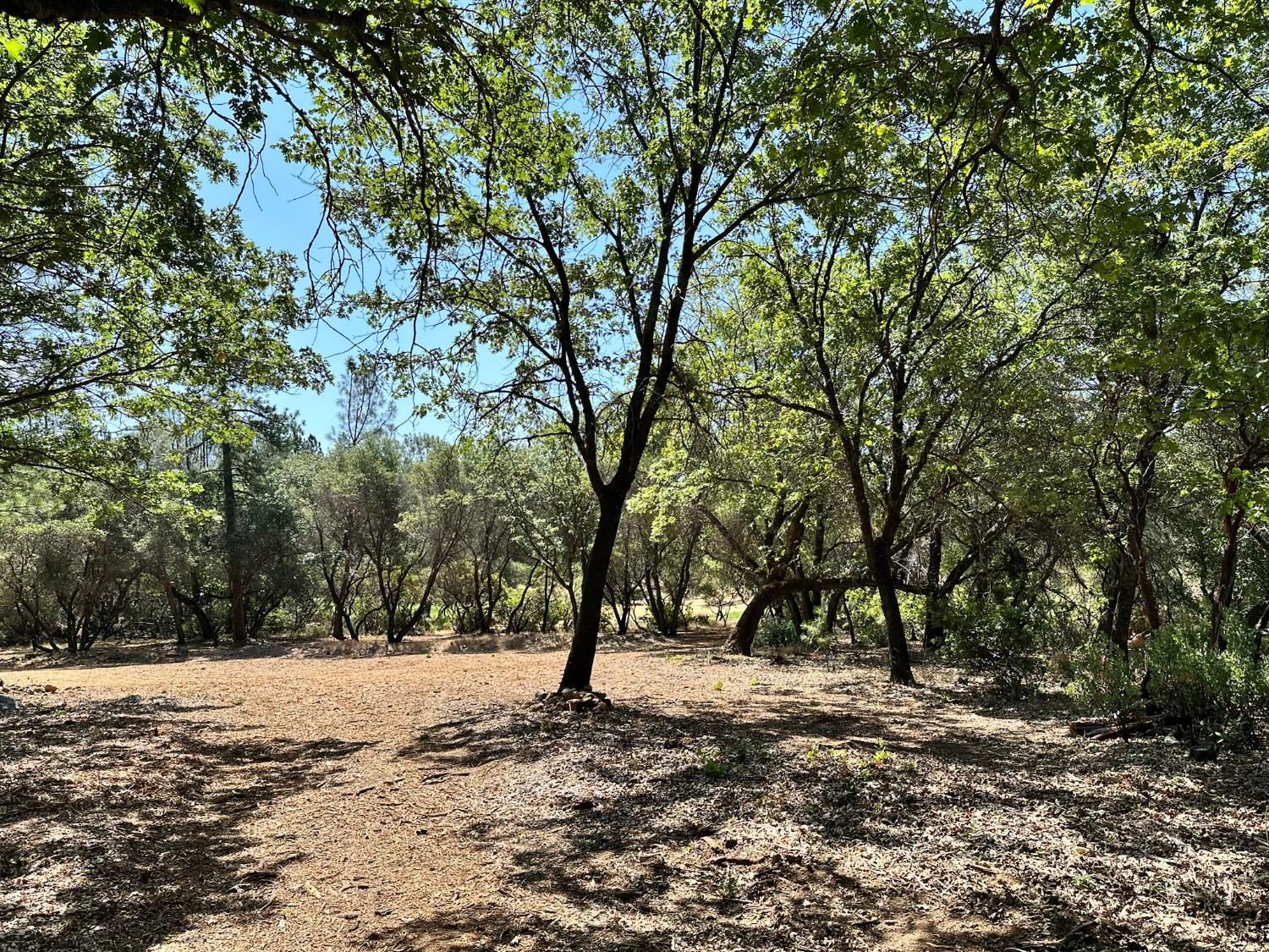 1845 E Summit View Drive