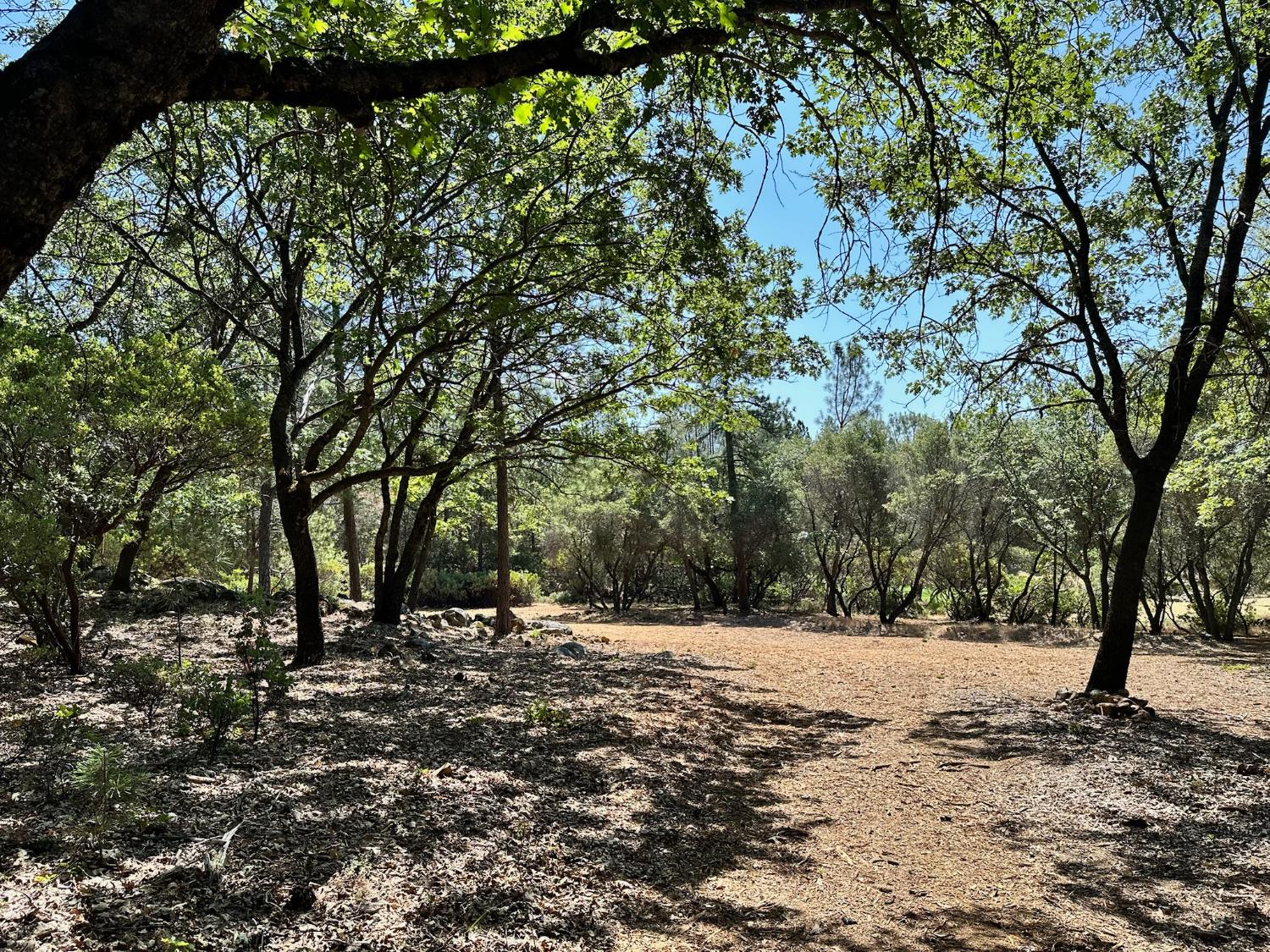 1845 E Summit View Drive