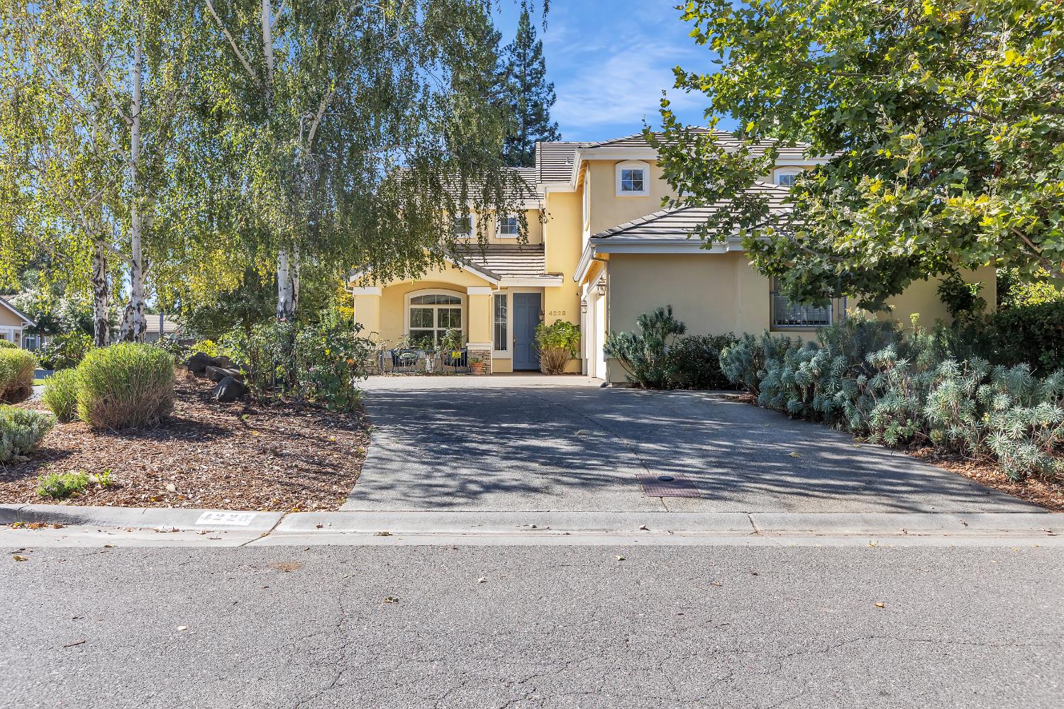 4228 Dogwood Place