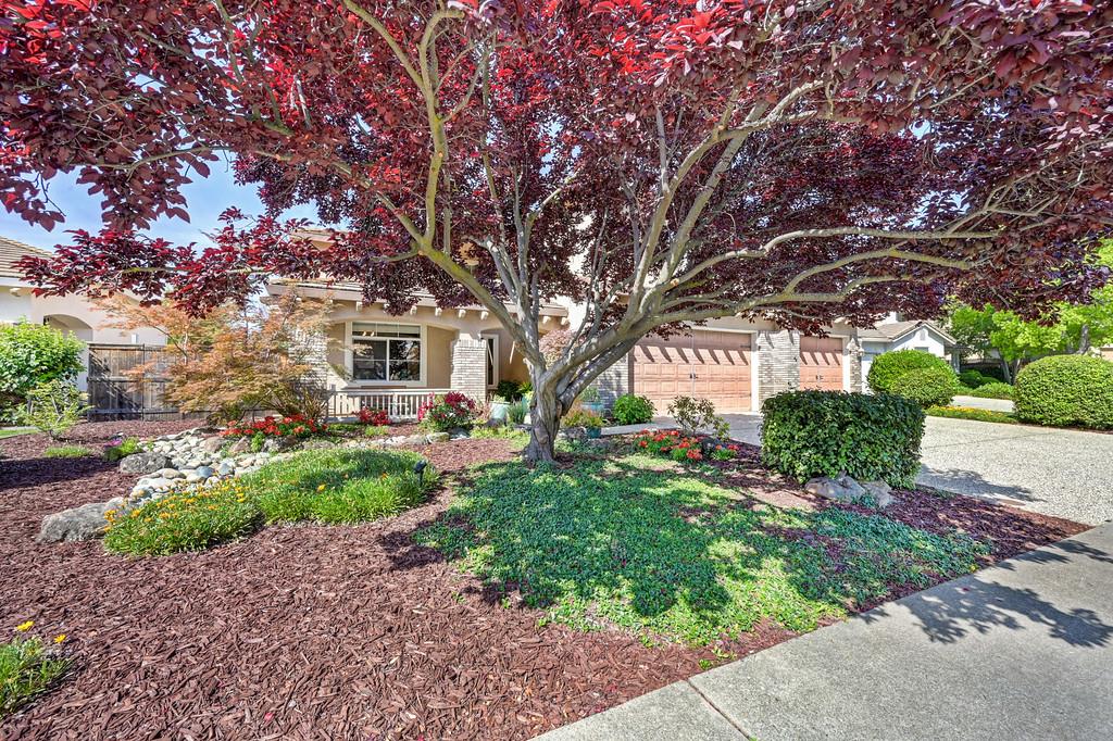 2513 Alexandra Place