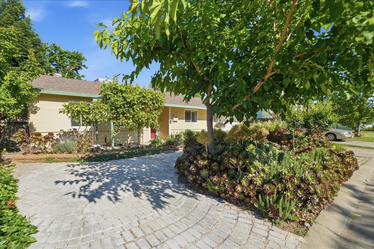 921 Patricia Way