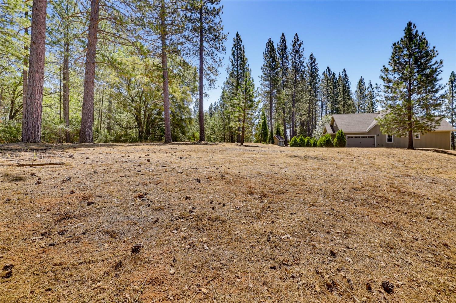 16300 Kiwi Road