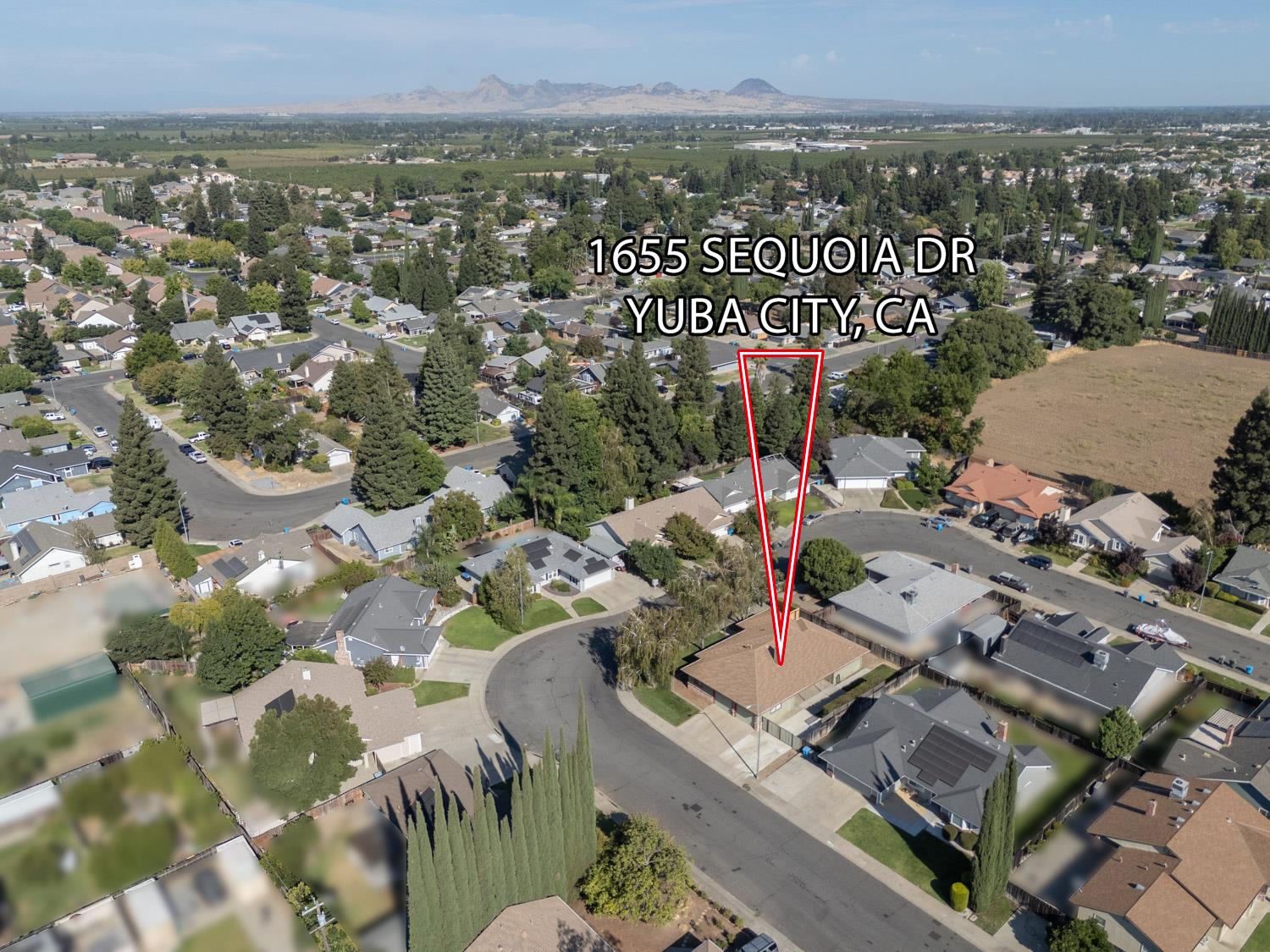 1655 Sequoia Drive