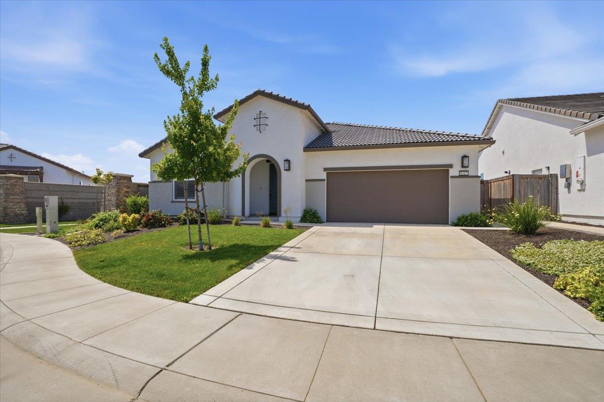 8317 Evans Tree Drive