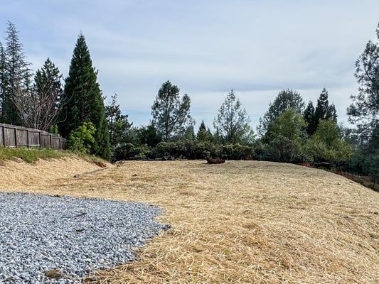 3450 SUDBURY RD, CAMERON PARK, CA 95682 - Image e734d562d06e38d0cf7a75bd2a06f4df/4284358919