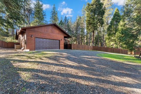 16558 Frenchtown Road Brownsville CA 95919