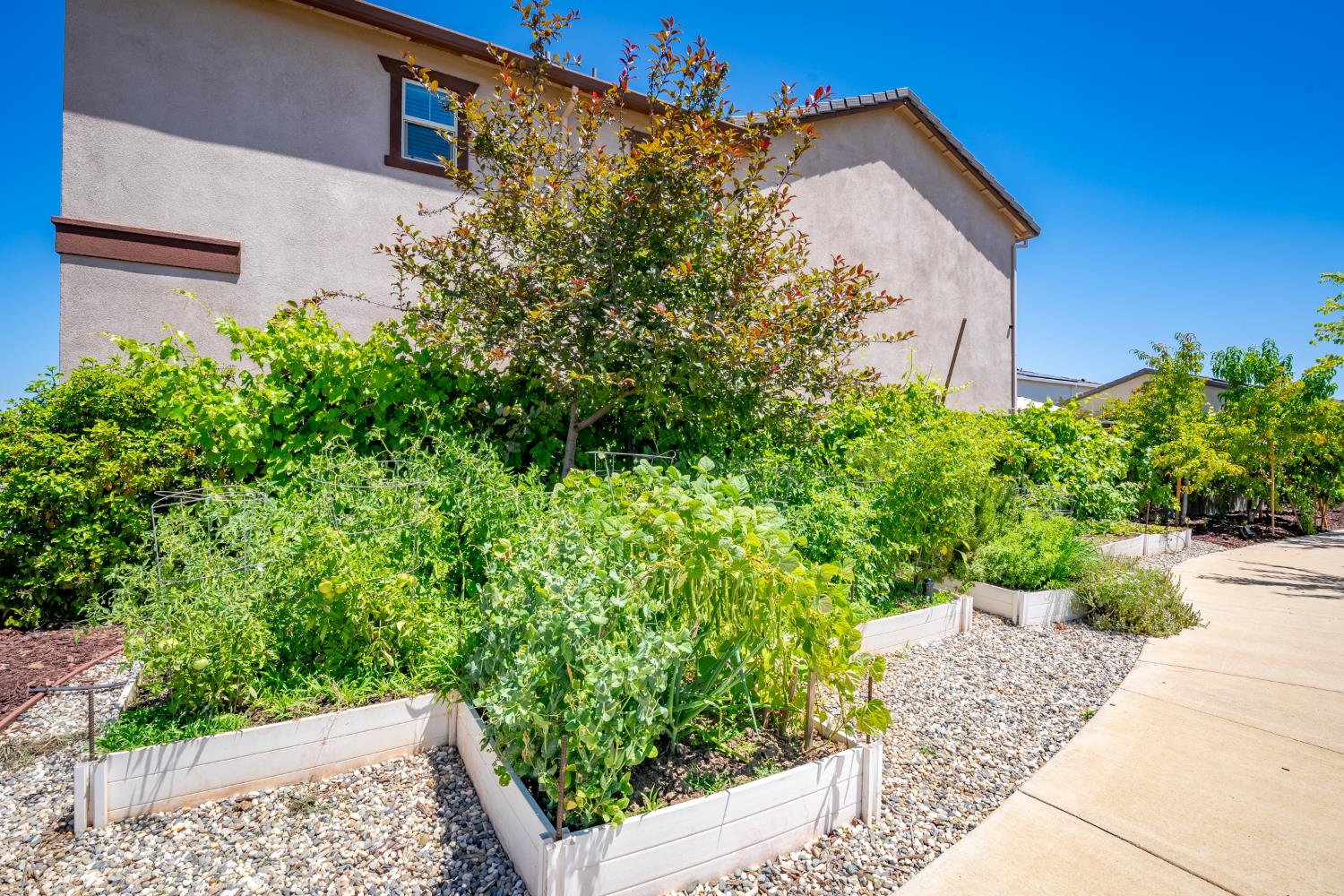 12800 Herringbone Way
