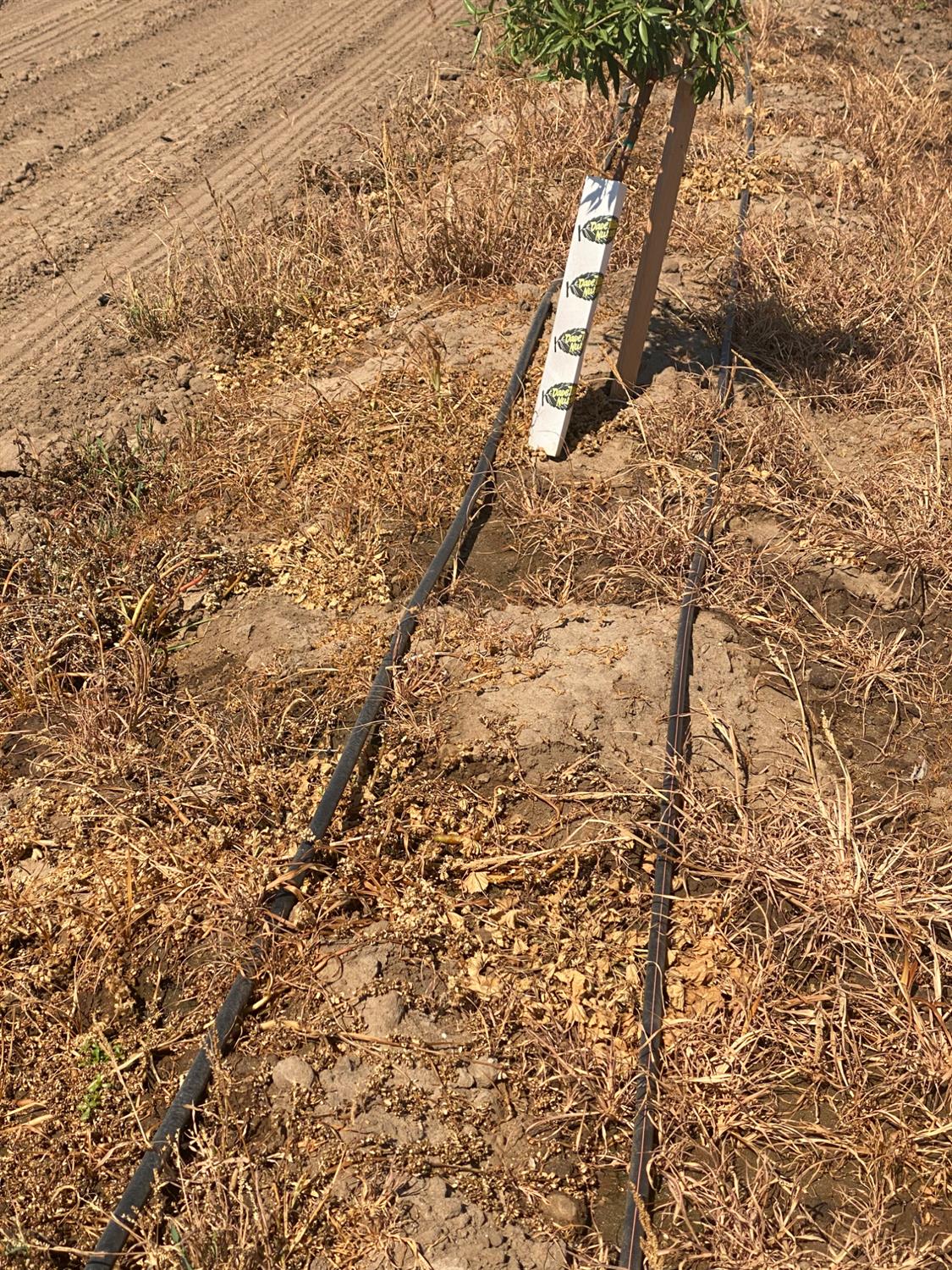 3000 Woodland Avenue