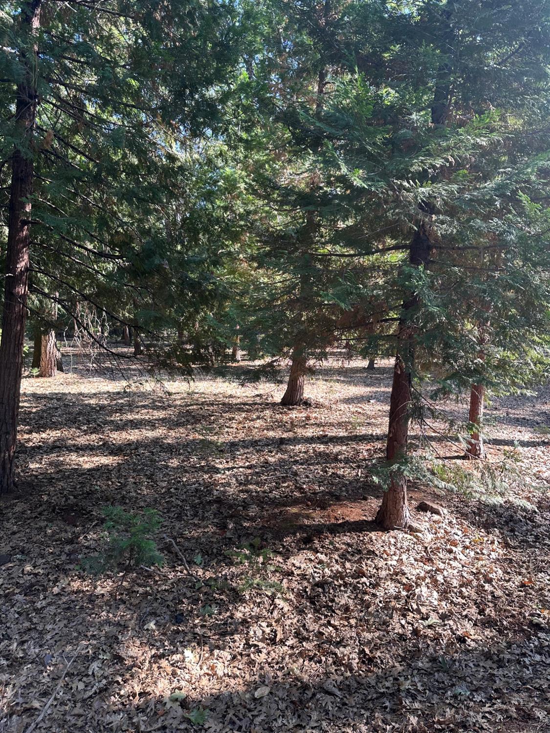 5667 Maywood Drive