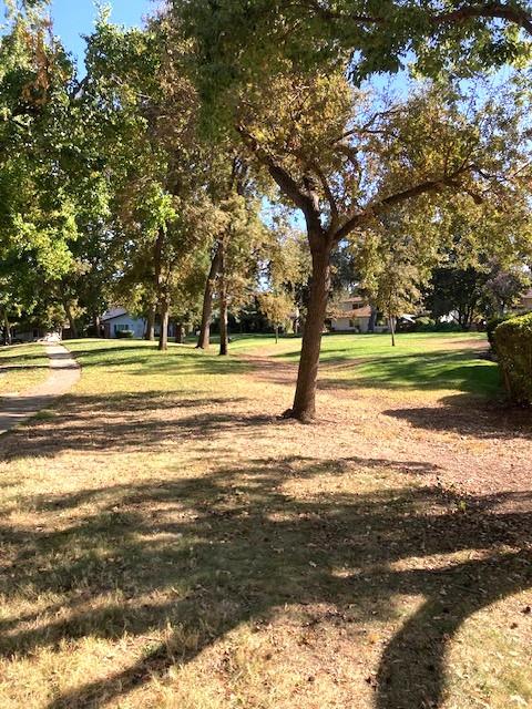 4726 Hayford Way 2