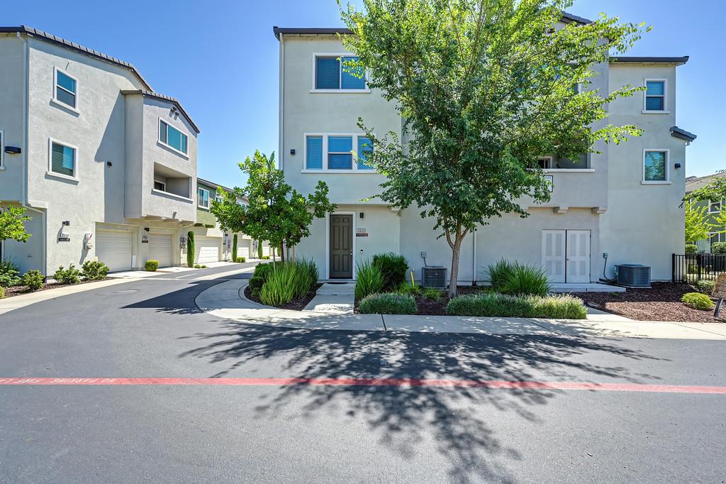 3039 Mesmerizing Walk