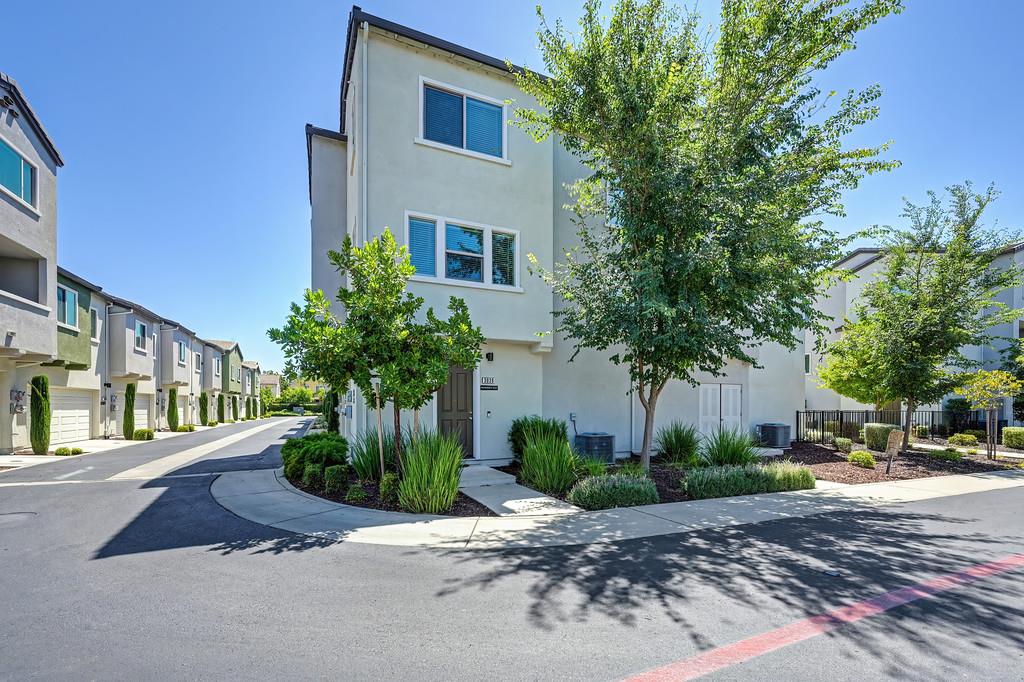 3039 Mesmerizing Walk