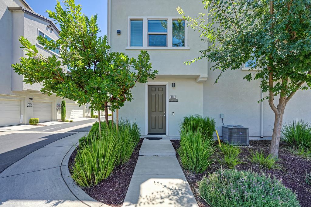 3039 Mesmerizing Walk