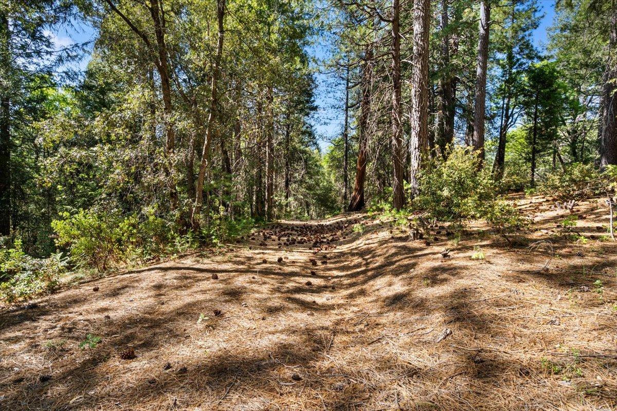 Grass Valley, California 95945, United States, ,Land,Active,117151