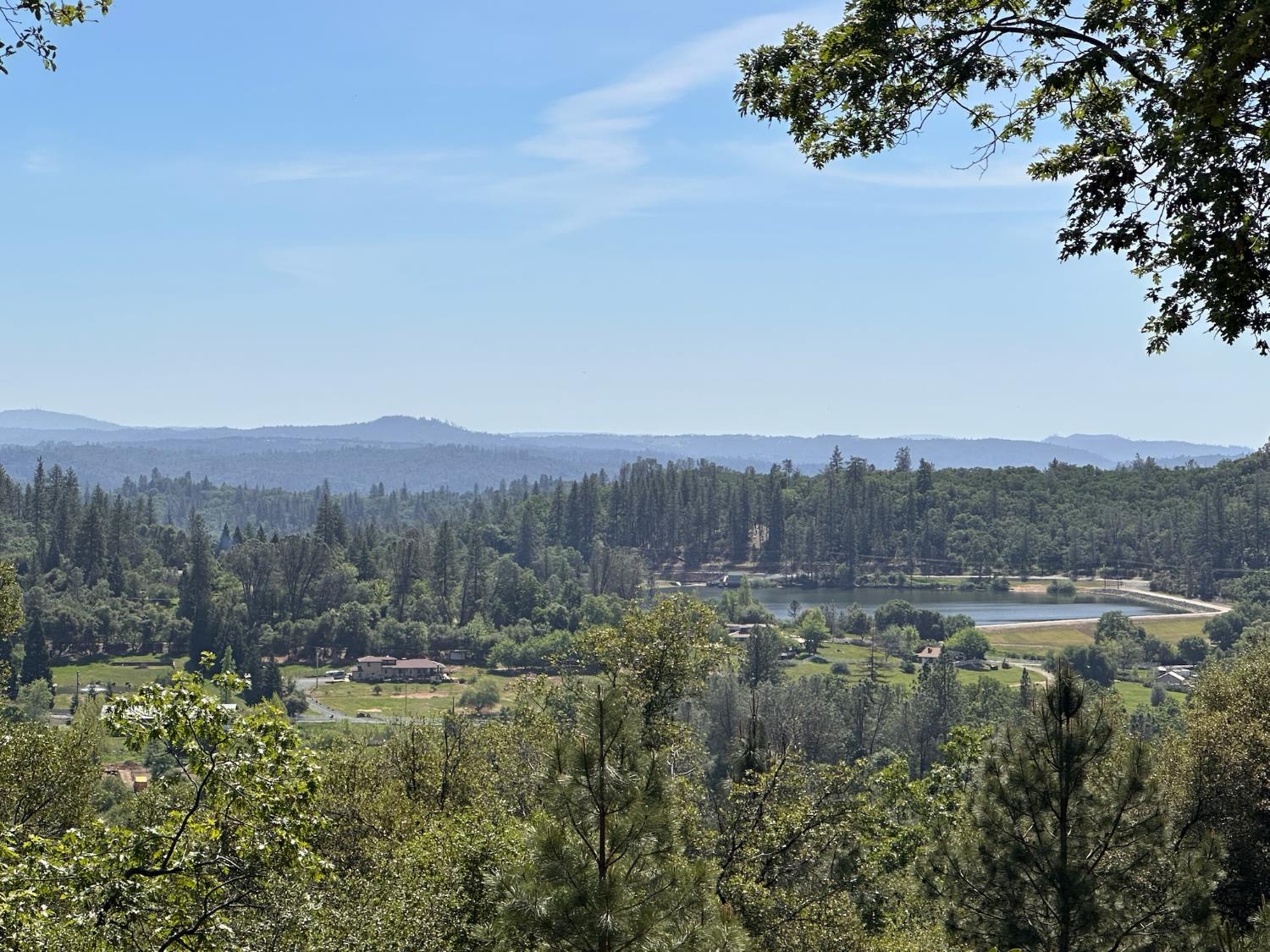 1235 Forest View Drive