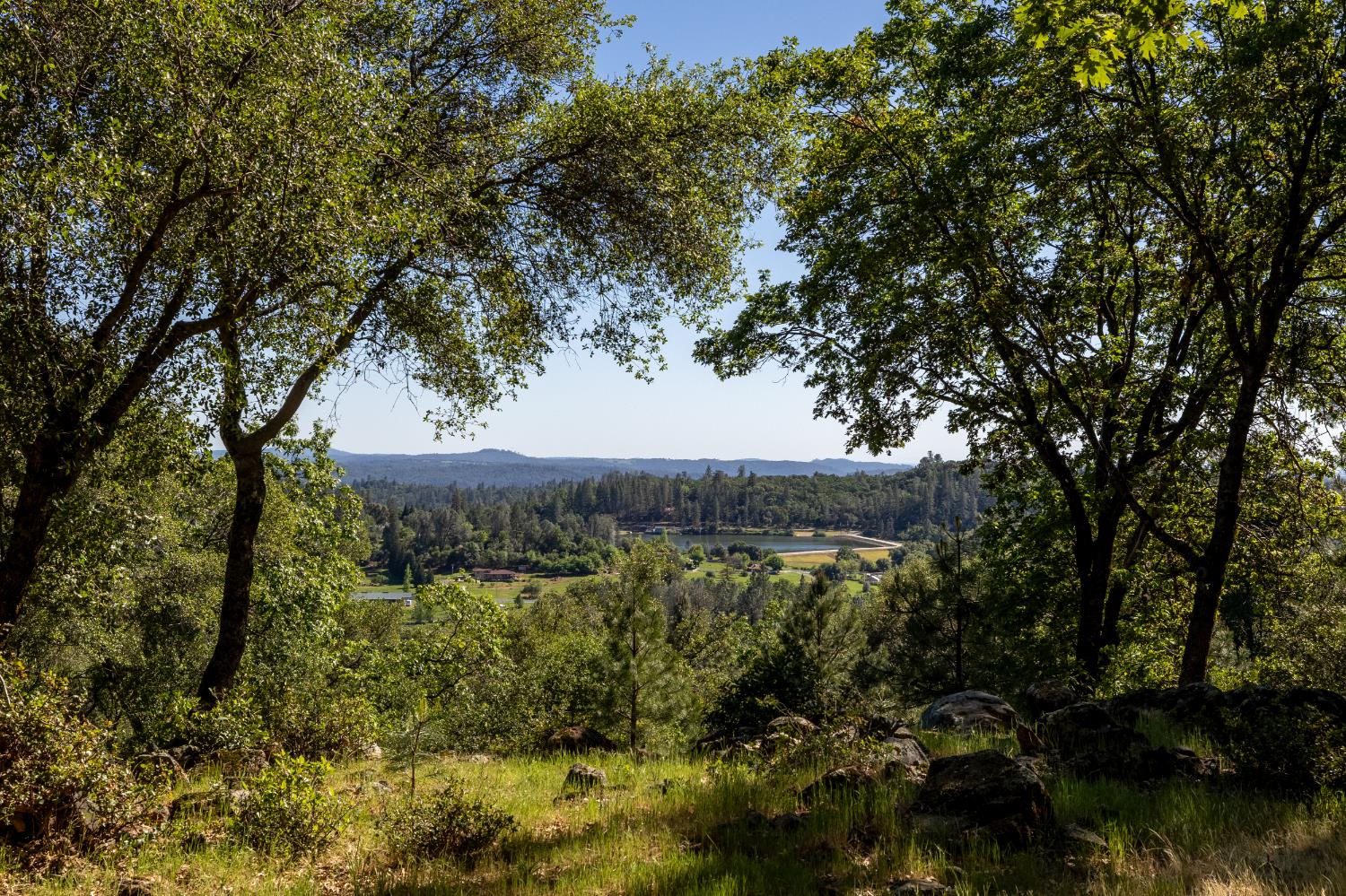 1235 Forest View Drive