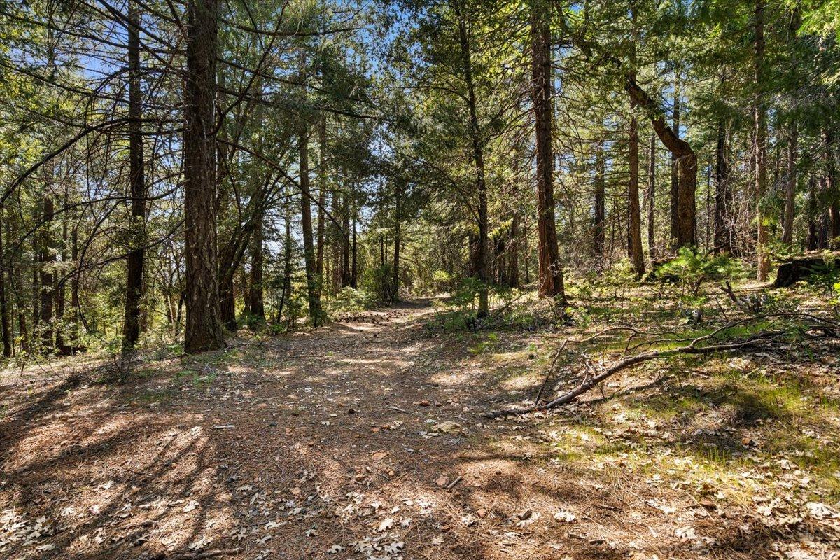 Grass Valley, California 95945, United States, 2 Bedrooms Bedrooms, ,1 BathroomBathrooms,Residential,Active,117153