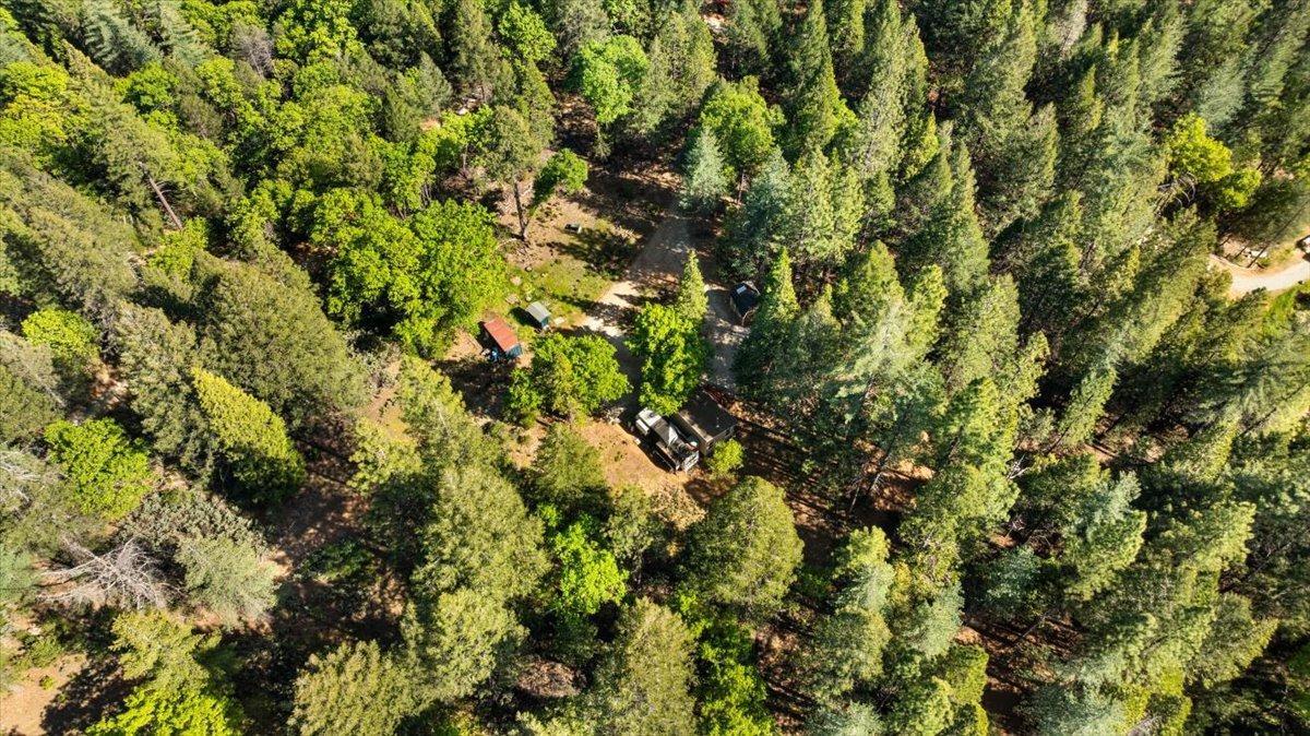 Grass Valley, California 95945, United States, 2 Bedrooms Bedrooms, ,1 BathroomBathrooms,Residential,Active,117153