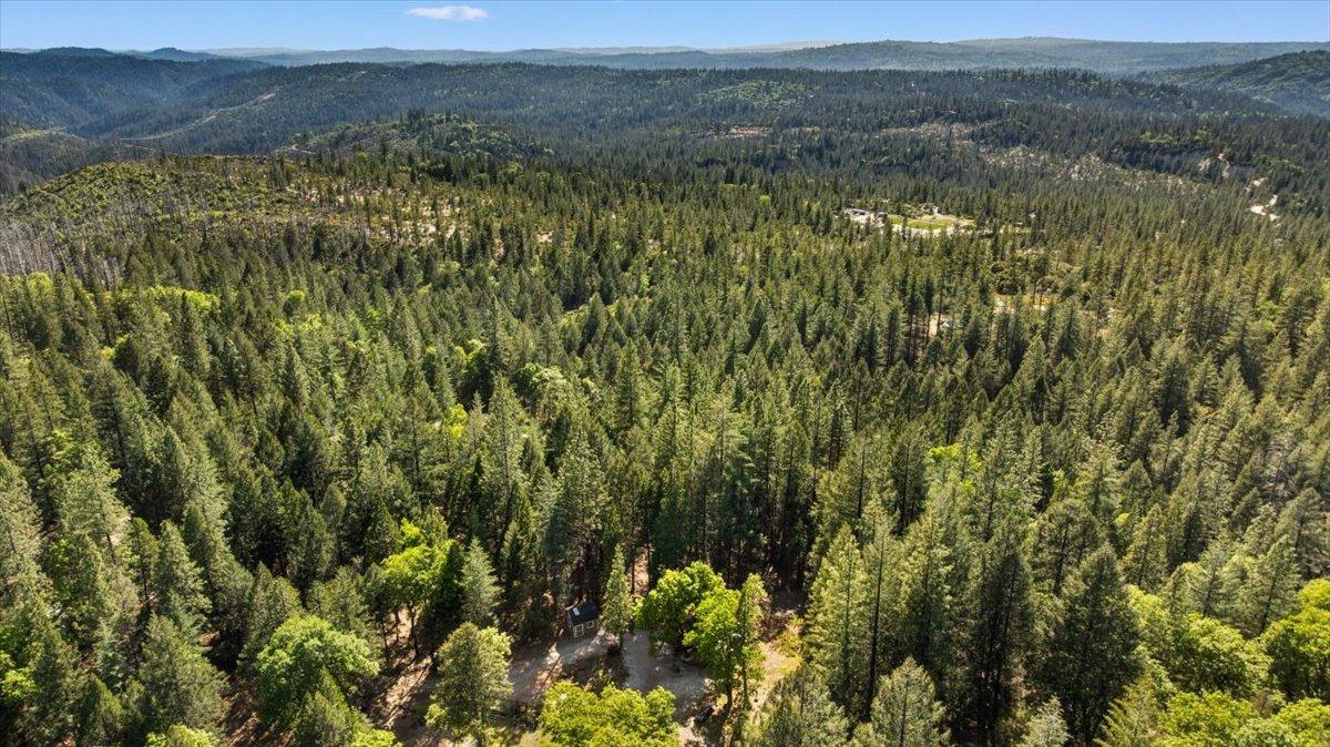 Grass Valley, California 95945, United States, 2 Bedrooms Bedrooms, ,1 BathroomBathrooms,Residential,Active,117153