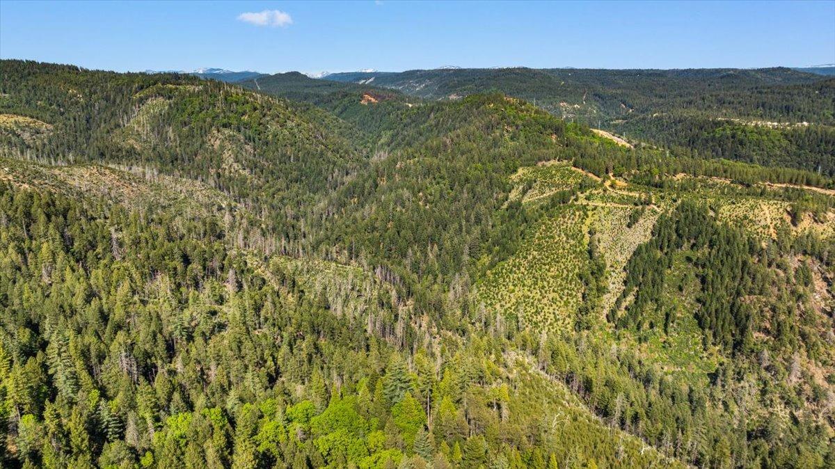 Grass Valley, California 95945, United States, 2 Bedrooms Bedrooms, ,1 BathroomBathrooms,Residential,Active,117153