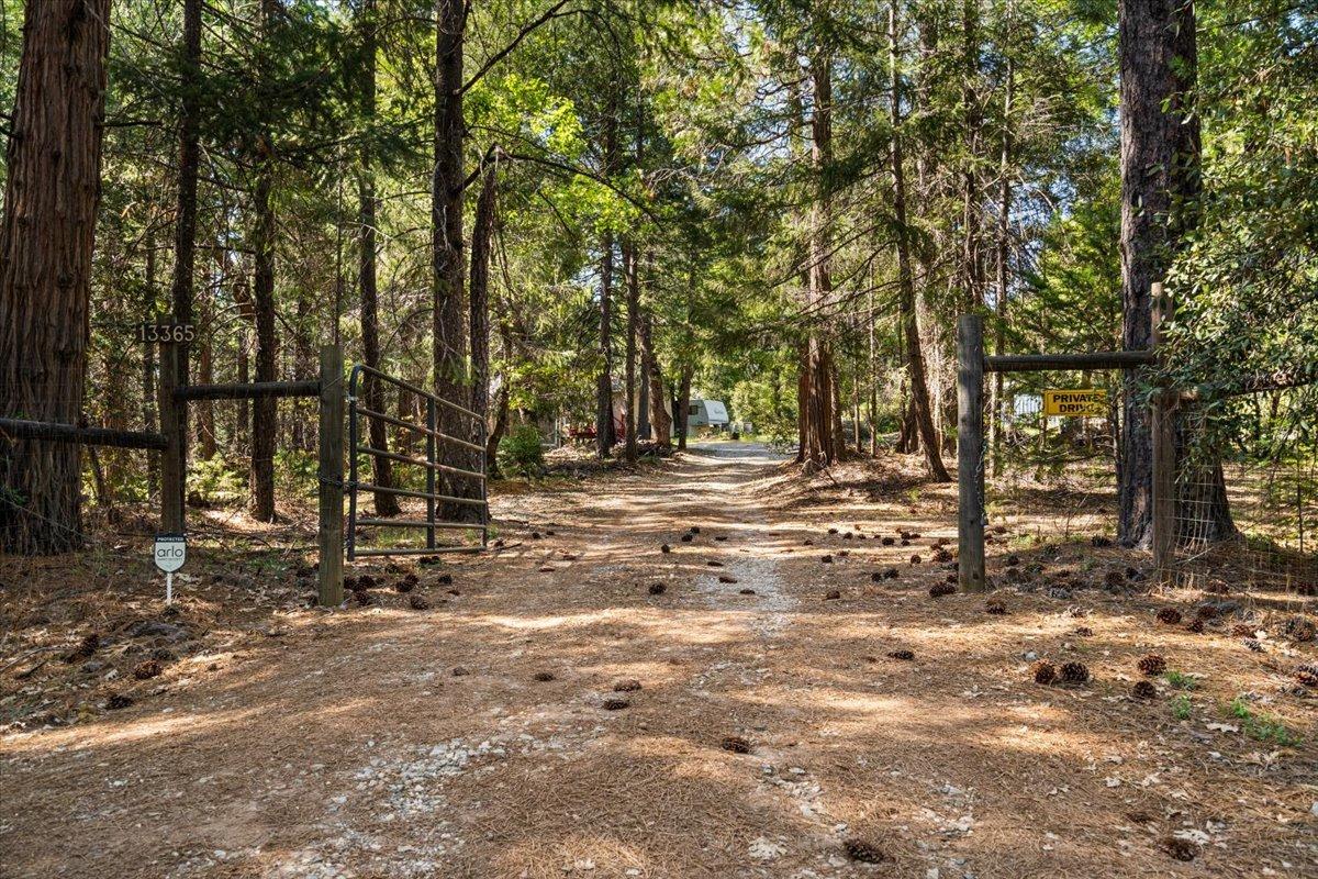 Grass Valley, California 95945, United States, 2 Bedrooms Bedrooms, ,1 BathroomBathrooms,Residential,Active,117153