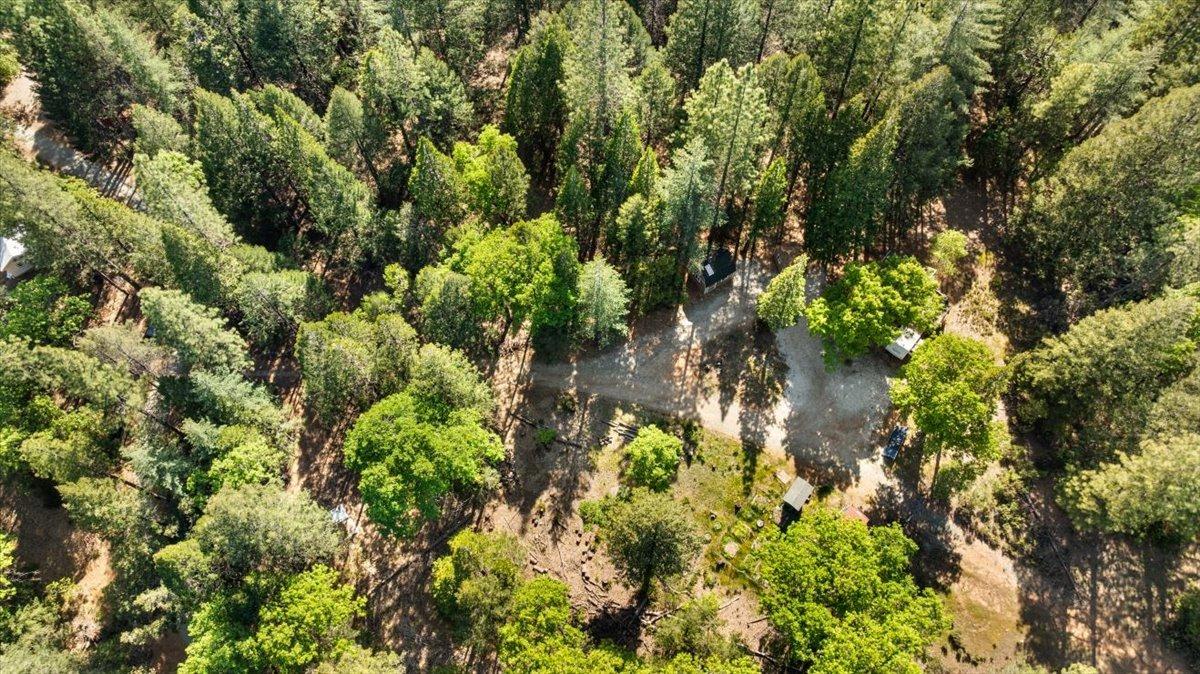 Grass Valley, California 95945, United States, 2 Bedrooms Bedrooms, ,1 BathroomBathrooms,Residential,Active,117153