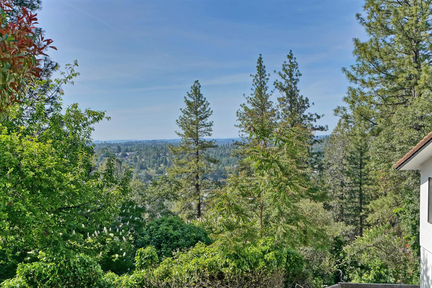 3338 Pardi Way