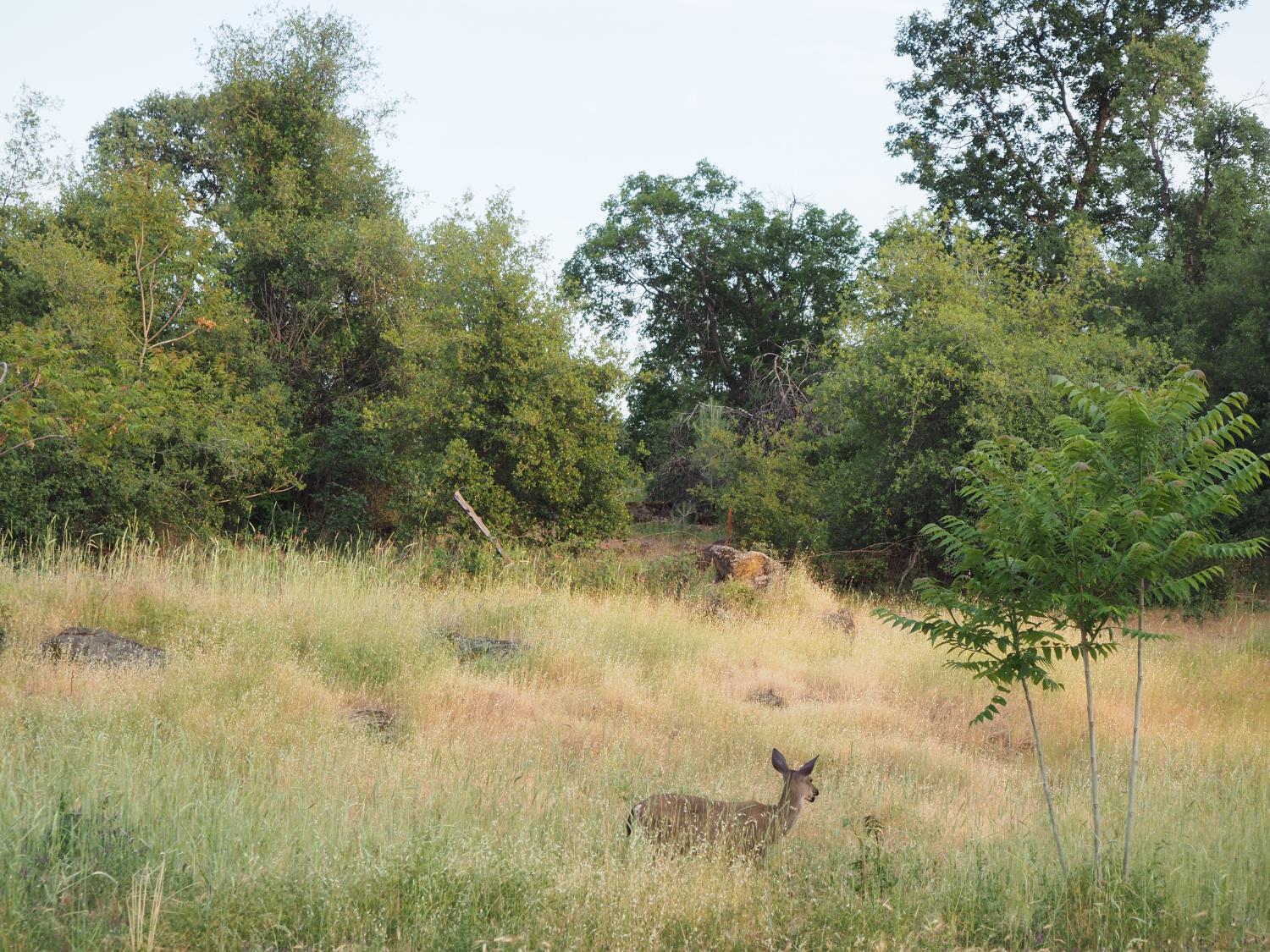 21705 S Powerhouse Road